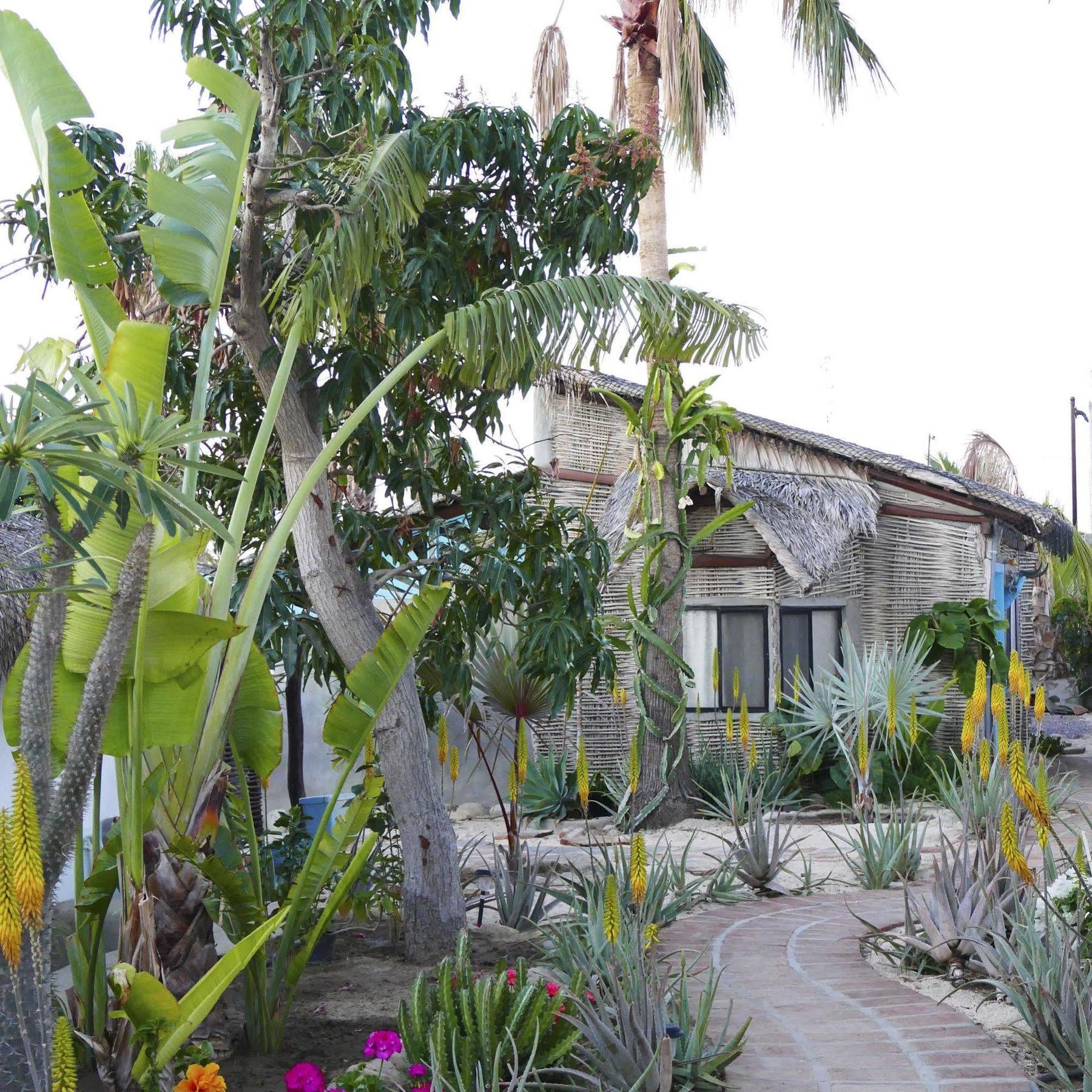 La Bohemia Hotel Todos Santos Bagian luar foto